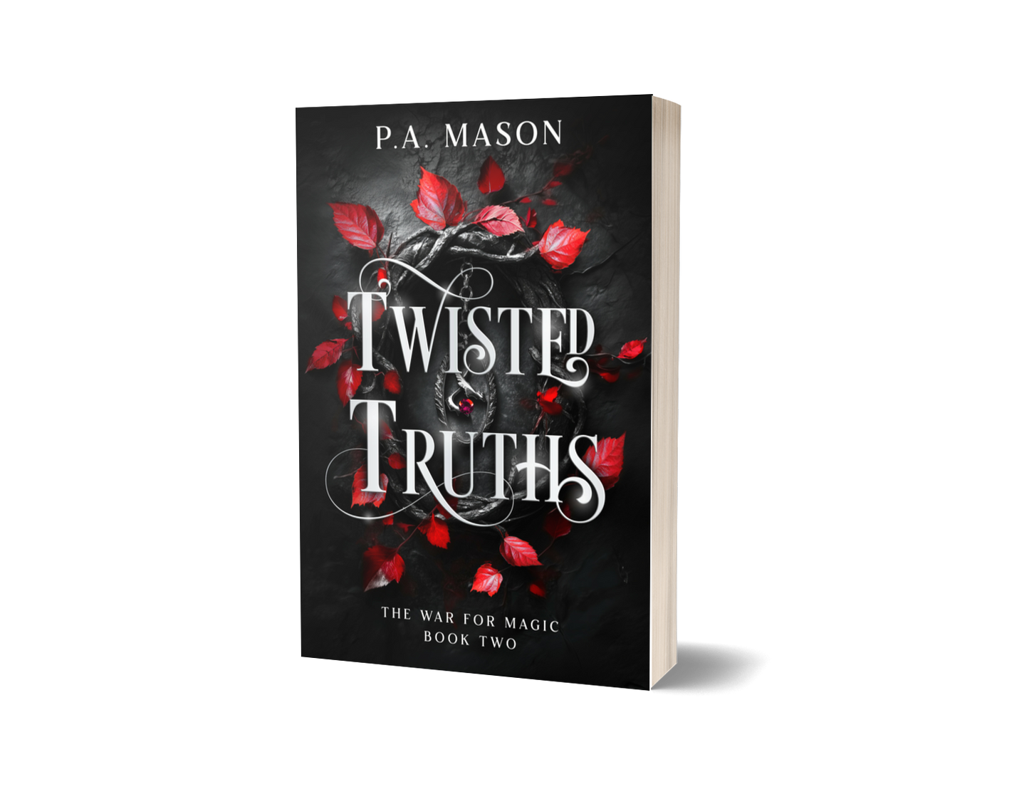 Twisted Truths - Paperback