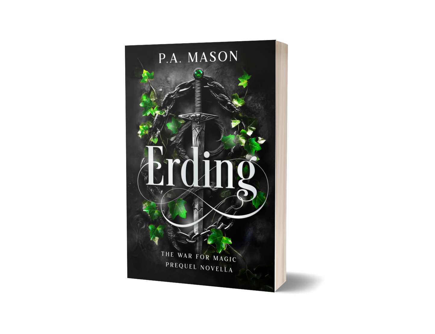 Erding paperback