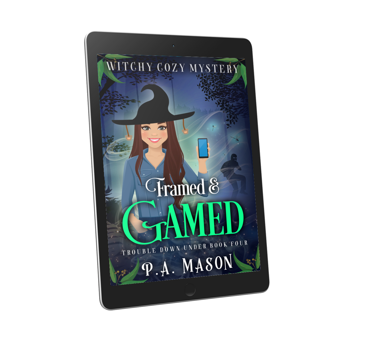 Framed & Gamed eBook
