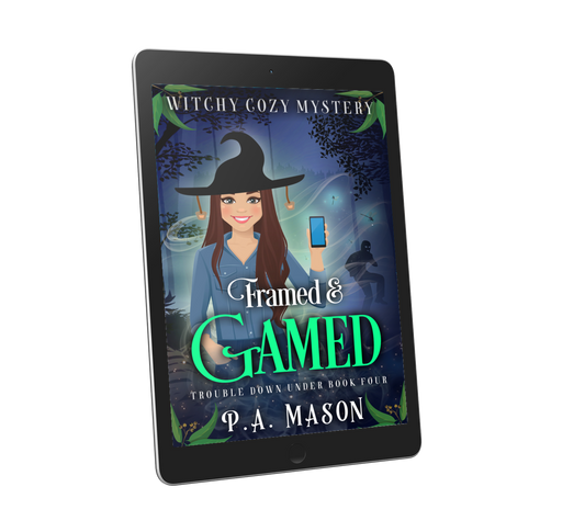 Framed & Gamed eBook