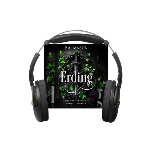 Erding - audiobook