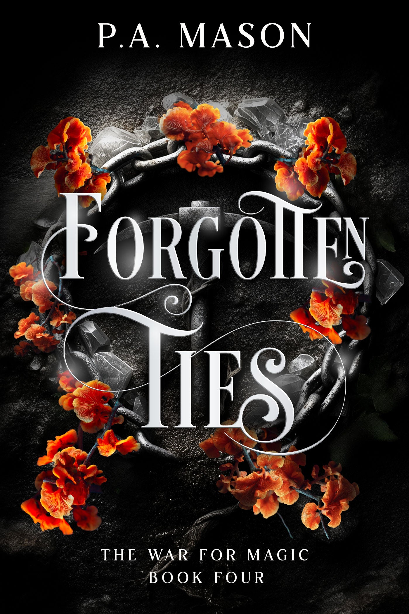 Forgotten Ties eBook